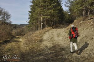 UEBEX Photography Bulgaria, © Bojidar Chotorov